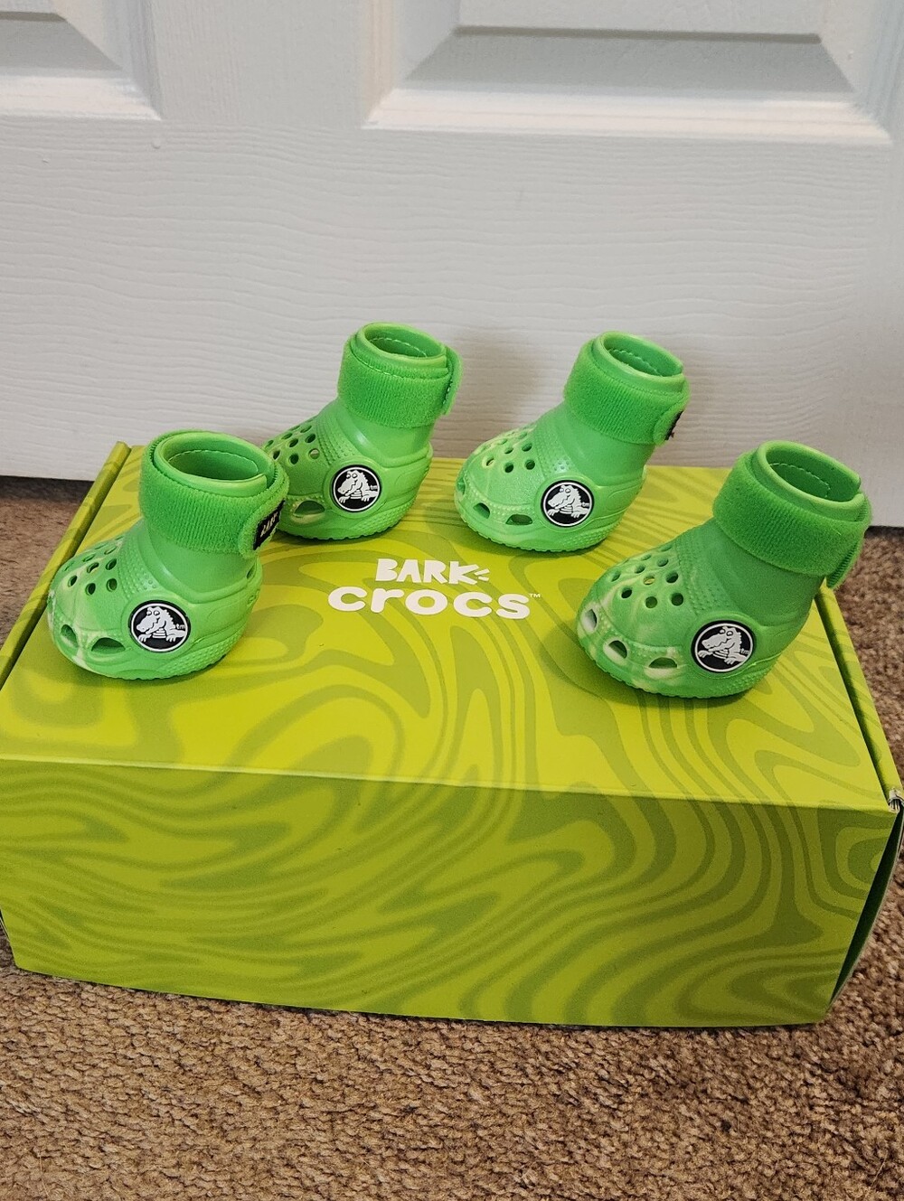 Dog Crocs